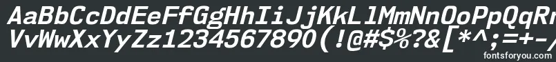 フォントNk57MonospaceNoBdIt – 黒い背景に白い文字