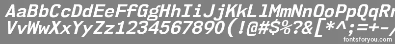 Шрифт Nk57MonospaceNoBdIt – белые шрифты на сером фоне