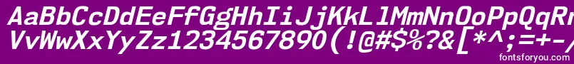 Nk57MonospaceNoBdIt Font – White Fonts on Purple Background