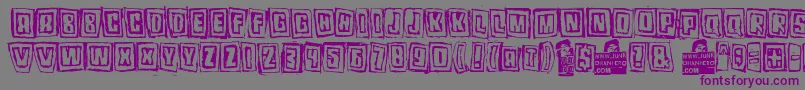 Pozo Font – Purple Fonts on Gray Background