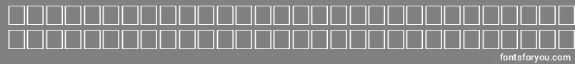 VremyafwfBoldItalic Font – White Fonts on Gray Background