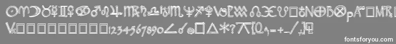 フォントWidgetExtrabold – 灰色の背景に白い文字