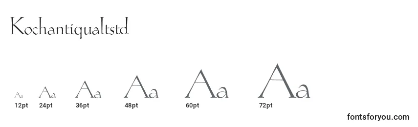 Kochantiqualtstd Font Sizes
