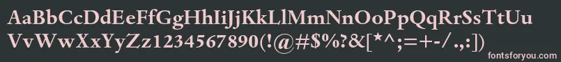 DantemtstdBold Font – Pink Fonts on Black Background
