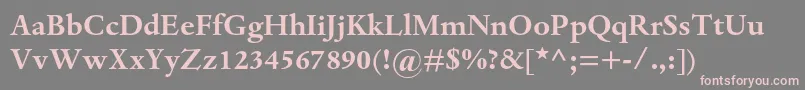 DantemtstdBold Font – Pink Fonts on Gray Background