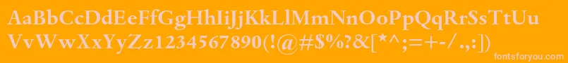 DantemtstdBold Font – Pink Fonts on Orange Background