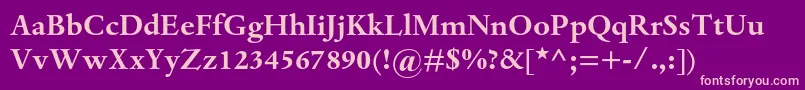 フォントDantemtstdBold – 紫の背景にピンクのフォント