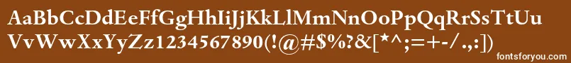 DantemtstdBold Font – White Fonts on Brown Background