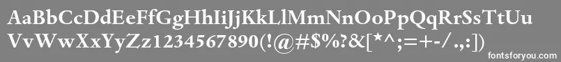 DantemtstdBold Font – White Fonts on Gray Background