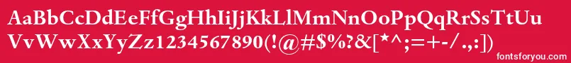 フォントDantemtstdBold – 赤い背景に白い文字