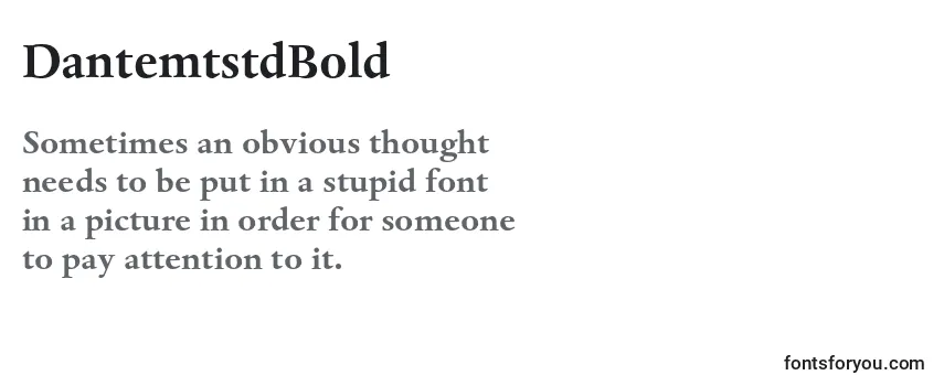 Review of the DantemtstdBold Font