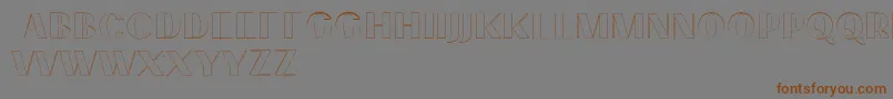 PassionsanspdcdAccentouter Font – Brown Fonts on Gray Background