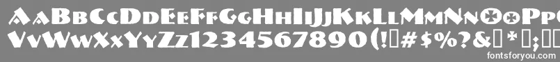 Vtnervouzreichboots Font – White Fonts on Gray Background