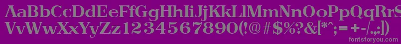 フォントPriamosSerialBoldDb – 紫の背景に灰色の文字