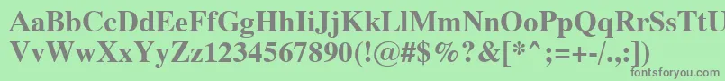 Dutch801BoldSwa Font – Gray Fonts on Green Background