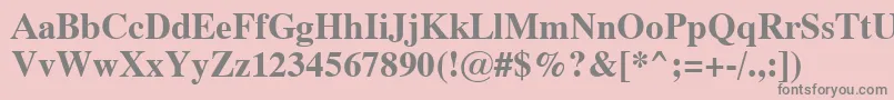 Dutch801BoldSwa Font – Gray Fonts on Pink Background