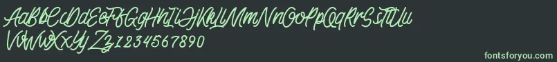 KadisokaMonolineDemo Font – Green Fonts on Black Background