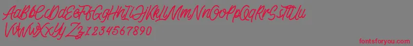 KadisokaMonolineDemo-Schriftart – Rote Schriften auf grauem Hintergrund