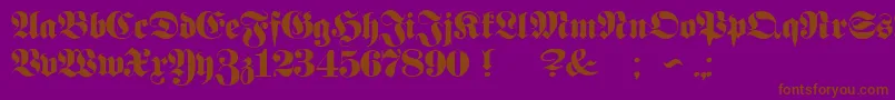 ProclamateHeavyHeavy Font – Brown Fonts on Purple Background