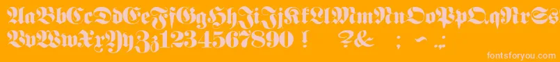 ProclamateHeavyHeavy-Schriftart – Rosa Schriften auf orangefarbenem Hintergrund