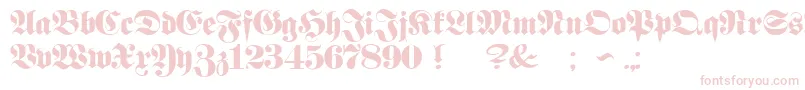 ProclamateHeavyHeavy Font – Pink Fonts on White Background