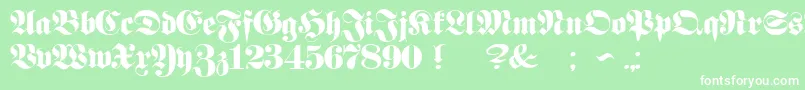 ProclamateHeavyHeavy Font – White Fonts on Green Background