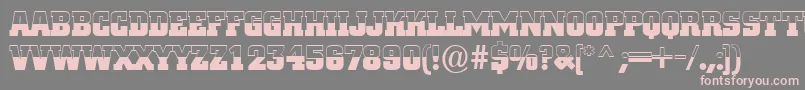 ACitynovatitulbwBold Font – Pink Fonts on Gray Background