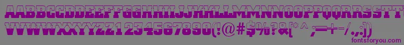 ACitynovatitulbwBold Font – Purple Fonts on Gray Background