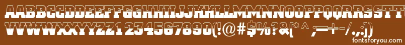 ACitynovatitulbwBold Font – White Fonts on Brown Background