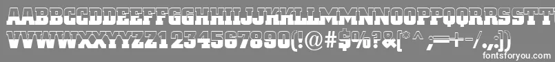 ACitynovatitulbwBold Font – White Fonts on Gray Background