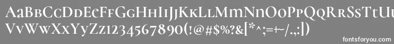 CormorantunicaseBold Font – White Fonts on Gray Background