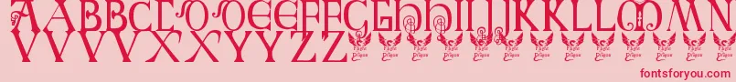Britishblockflourish Font – Red Fonts on Pink Background