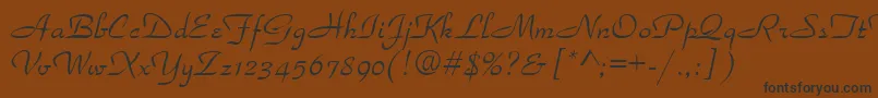 Parka36 Font – Black Fonts on Brown Background