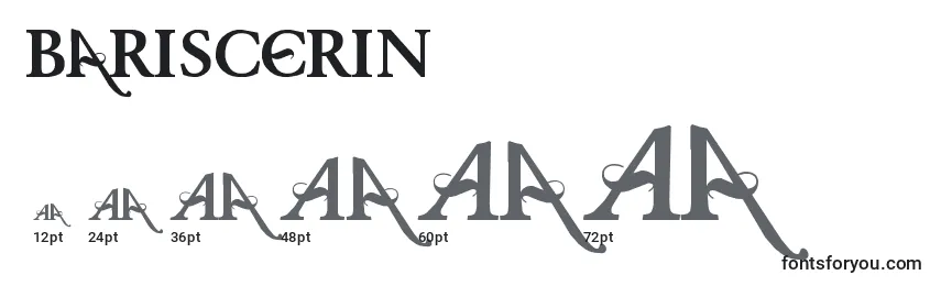 Размеры шрифта BarisCerin