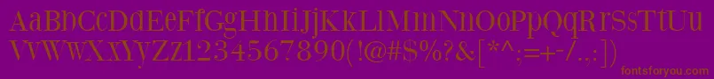 Шрифт Steepodoniroman – коричневые шрифты на фиолетовом фоне