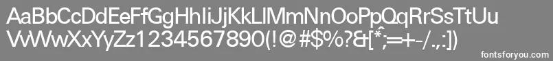 フォントUniversaldbNormal – 灰色の背景に白い文字