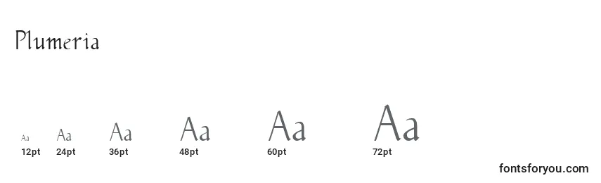 Plumeria Font Sizes