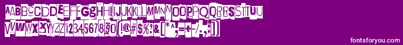 LievidenceNega Font – White Fonts on Purple Background