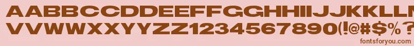 TsBlockBold Font – Brown Fonts on Pink Background