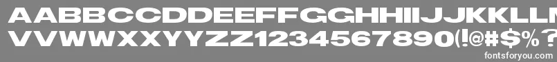TsBlockBold Font – White Fonts on Gray Background