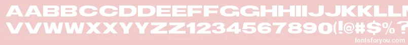 TsBlockBold-Schriftart – Weiße Schriften auf rosa Hintergrund