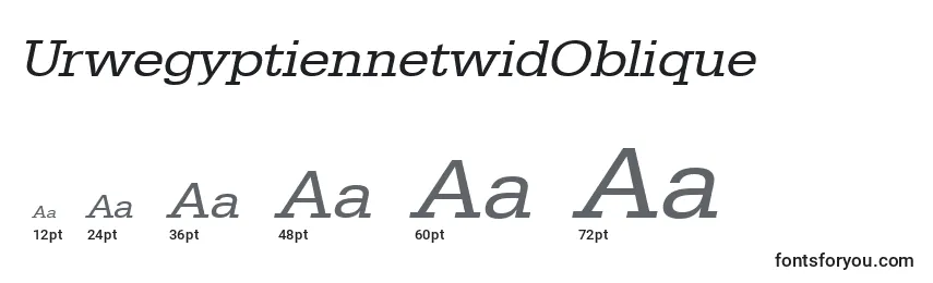 Размеры шрифта UrwegyptiennetwidOblique