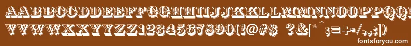 DsDiamondInlay Font – White Fonts on Brown Background