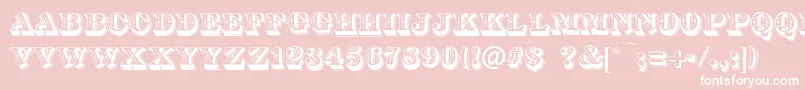 DsDiamondInlay Font – White Fonts on Pink Background