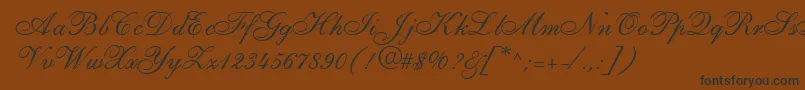 ShirleyallegroRegularDb Font – Black Fonts on Brown Background