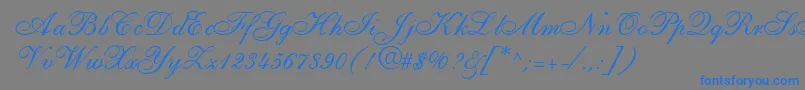 ShirleyallegroRegularDb Font – Blue Fonts on Gray Background