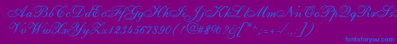 ShirleyallegroRegularDb-Schriftart – Blaue Schriften auf violettem Hintergrund