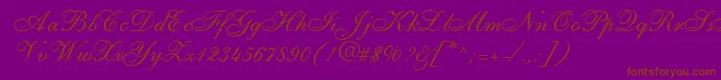 ShirleyallegroRegularDb-Schriftart – Braune Schriften auf violettem Hintergrund