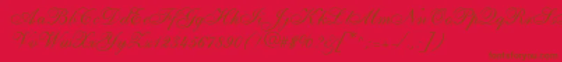 ShirleyallegroRegularDb Font – Brown Fonts on Red Background
