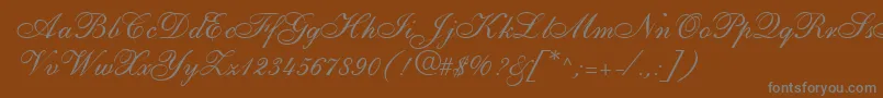 ShirleyallegroRegularDb Font – Gray Fonts on Brown Background